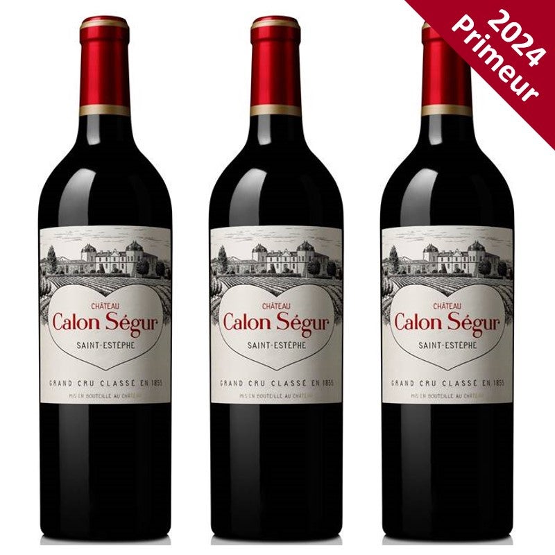 シャトー・カロン・セギュール 2016 □注目! シャトー・カロン・セギュール 2016 750ml 14